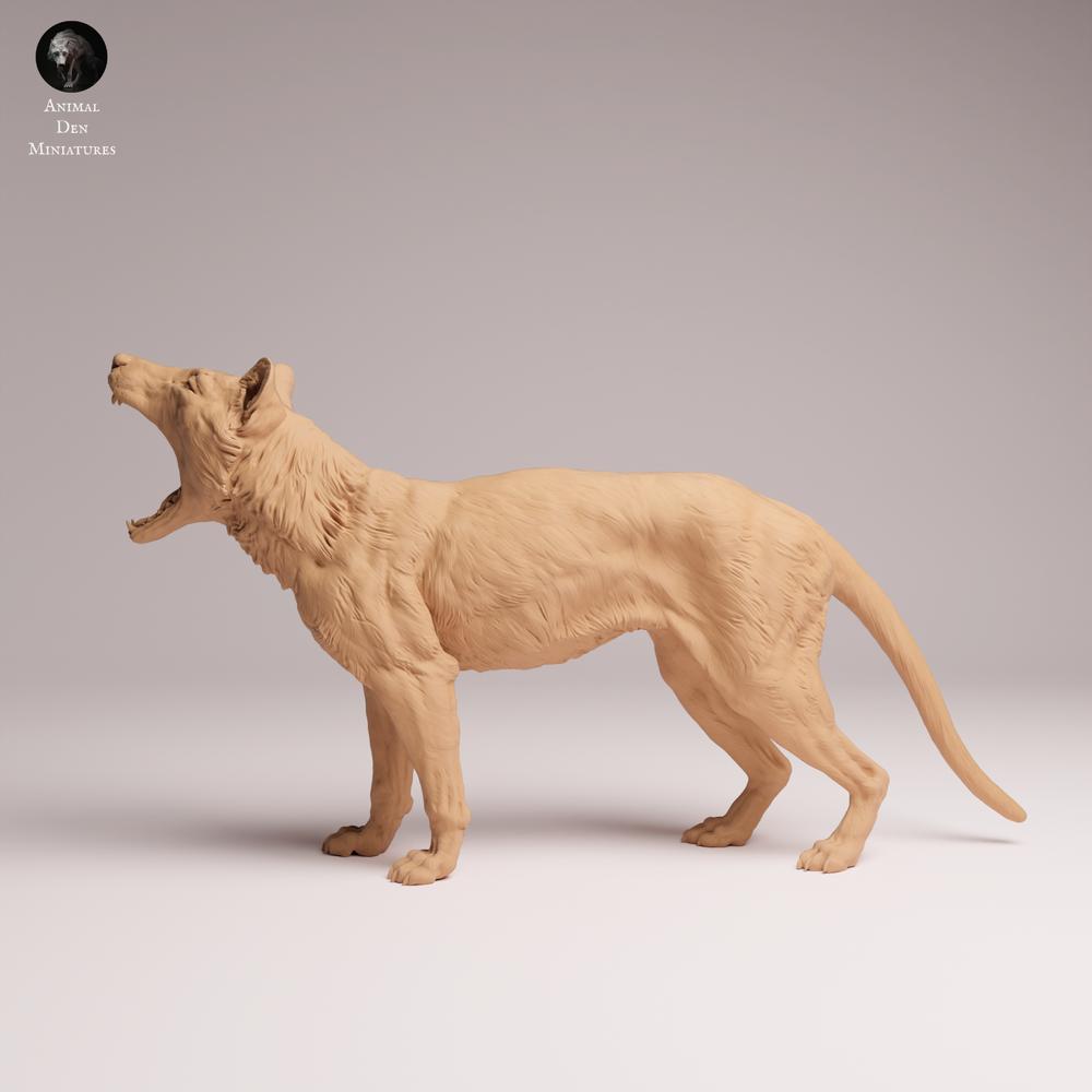 Photo du produit Tabletop 28mm Lord of the Print (LotP) 2 : figurine d’animal sauvage : thylacine (tigre de Tasmanie) - bâillant (26_04_09)