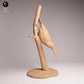 Photo de produit Tabletop 28mm Lord of the Print (LotP) 1: Figurine d'animal: Toko-Tukan - assis sur une branche