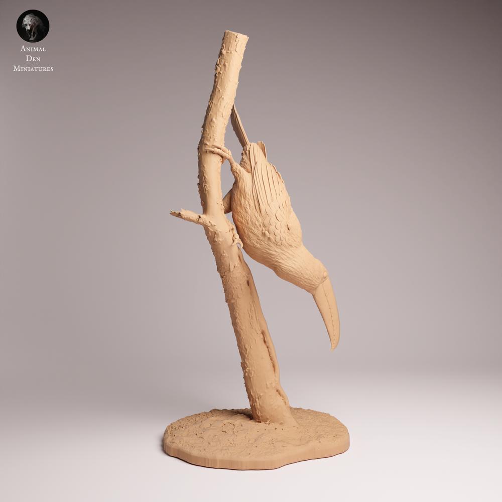 Photo de produit Tabletop 28mm Lord of the Print (LotP) 1: Figurine d'animal: Toko-Tukan - assis sur une branche