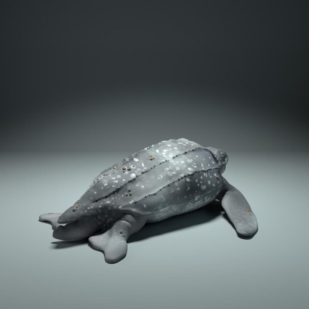 Photo du produit, figurine animale Animal Den Miniatures 1 : animal marin, tortue luth (22_09_01)