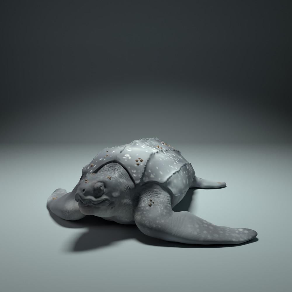 Photo produit figurine animale Animal Den Miniatures 3 : animal marin, figurine animale : tortue luth (22_09_01)