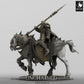 Photo de produit Tabletop 28mm Lord of the Print (LotP) 0 : Miniature Tabletop : Paladin Noir Monté, Chevalier de la Mort à Lance sur Cheval de Guerre Blindé, Chevalier Terrifiant Cavalerie Lourde (24_05_Q)
