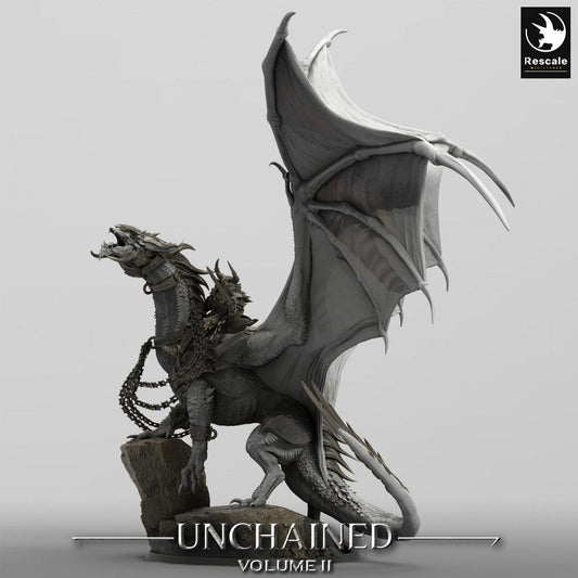 Photo de produit Tabletop 28mm Lord of the Print (LotP) 0 : Miniature Tabletop : Dragon de guerre avec cavalier, Wyrm monstre géant, Dragon de guerre (24_05_J1)