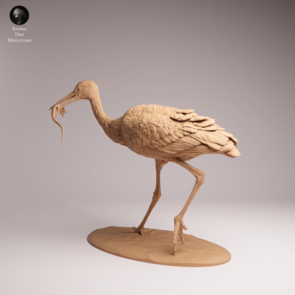Photo du produit Tabletop 28mm Lord of the Print (LotP) 0 : figurine animale : Cigogne blanche - en train de se nourrir (26_07_05)